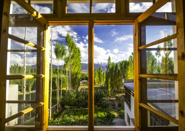 Cost of Wood Window Replacement in East Stroudsburg