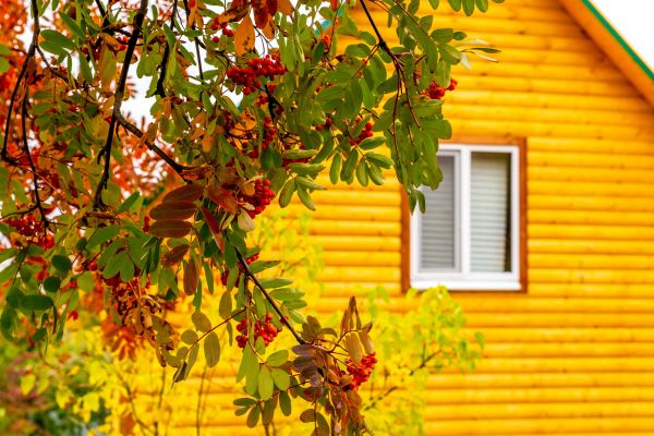 Cost of Garden Window Replacement in East Stroudsburg